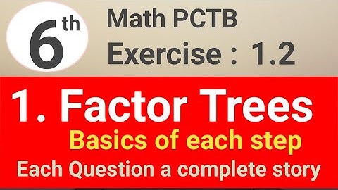 Exercise 1.2 question 1 math 6 PCTB || Factor Tree || waseem academy
