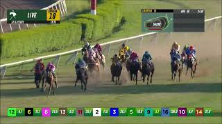 Vidéo de la course PMU PRIX FRIDA KAHLO