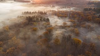 Vignette de la vidéo "Fragile Oasis by Pieter Savenberg | Piano and Nature"