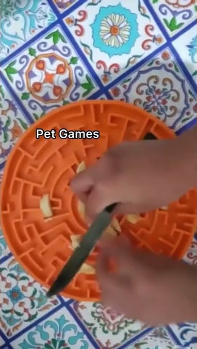 Comedouro Interativo Labirinto Pet Games