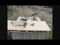 How to Make a Bird Trap - that actually works!!