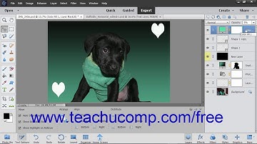 Photoshop Elements 2019 Tutorial Stacking Layers and Ordering Layers Adobe Training