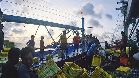 2 Vác Lưới Đêm Cũng Kha khá|Đánh Cá 2025-Tập66|Sóng Biển Hứa Đông