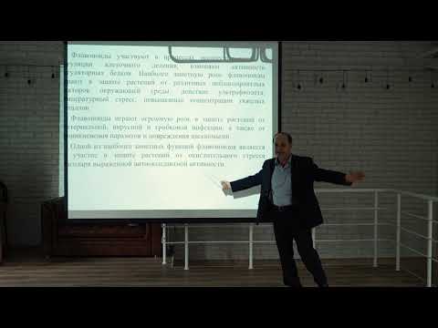 Флавонолы и их влияние на здоровье человека.