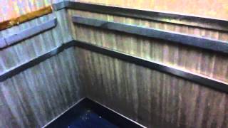 Celebrity Modded American Traction Elevators At Shoppers World In Jamaica NYC Wealth