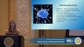 AAE tv | Tuning The Pineal | The Divine Signal Transducer | Jeilene Tracey | 9.22.19