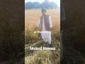 Moazil Nawaz At Piplan 09 04 2026 
