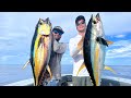We limited out yellowfin tuna on lures
