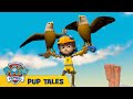 🐶 Pups Save a Mascot | PAW Patrol | Cartoons for Kids