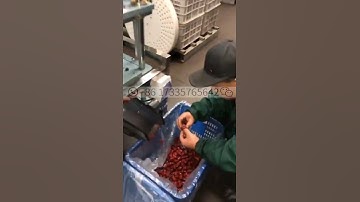 Dates Pitter Apple Pitting Dry Dates Pitting Fruit Kernel Removing Machine