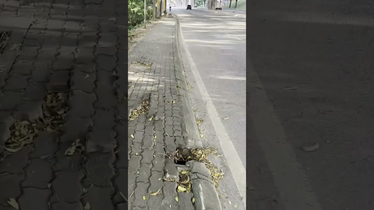 Desire Path - the lack of proper pedestrian infrastructure. Walk & narration by Alia Meor.