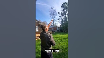 trick to figure out the height of a tree. #diytips #treework #treeremoval #renotips #yardwork #diy