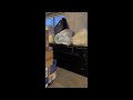 Stockpiled donations in Billings Food Bank basement video taken by ex-employee