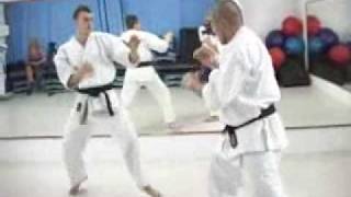 Cornel Musat Karate Romania