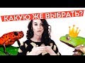 Лучшая лягушка для содержания дома