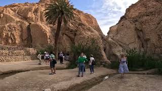 Chebika Oasis. Tunisia.