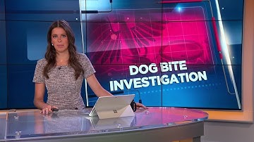 Public Health & Dane County searching for dog involved in bite incident