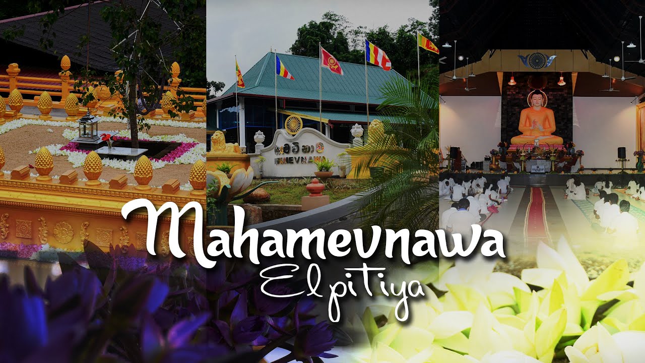 #mahamevnawa ඇල්පිටිය මහමෙවනාව භාවනා අසපුව | Mahamevnawa Elpitiya