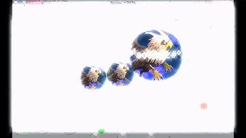 BLOB/ remember me - instant merge hunting lb