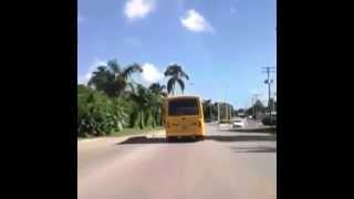 Crazy Minibus Barbados Crazy Minibus Barbados