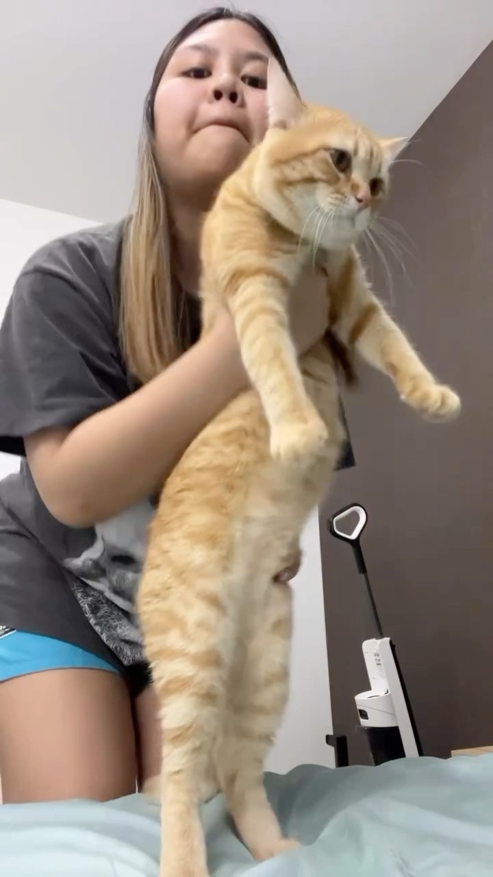 #JasonDeruloTV // Dancing Cat #GotPermissionToPost From IG @khai_jaii #TalkDirty