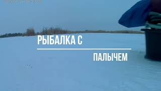 #Подводная#съёмканаэкшнкамеру#Экшн#камера#в воде# #WI-FI#в воде#