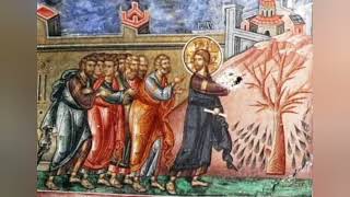 Many false prophets will arise and lead many astray.