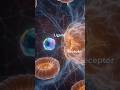 Molecular Docking Part 2 | Ligand &amp; Receptor | How Does Medicine Know Where to Work?