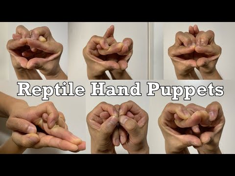 How to Make Reptile Snake Alligator Lizard Godzilla Heads Hand Puppets 2021.08.14 Fun Tricks Hobbies