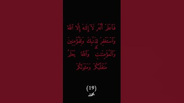 سورة محمد : الآية ١٩