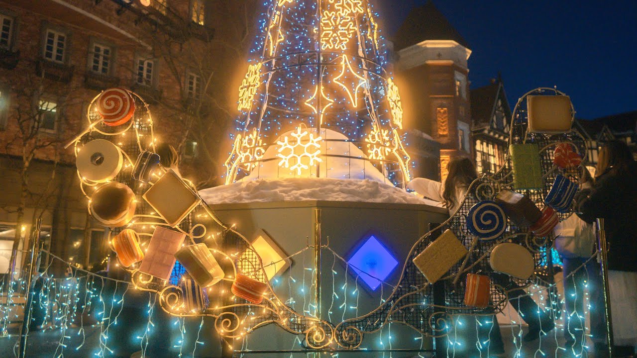 札幌白色戀人公園，冬季燈光璀璨的英式庭園 / 在雪白的校園散步「北海道大學」