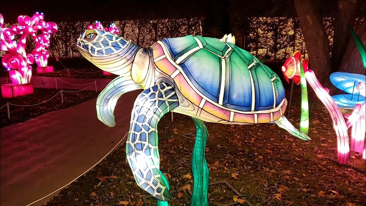 Nyc winter Lantern festival Snug Harbor Cultural Center& Botanical