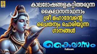 കൈലാസം | Shiva Devotional Songs Malayalam | Hindu Devotional Songs | Kailasam #omnamahshivaya #om