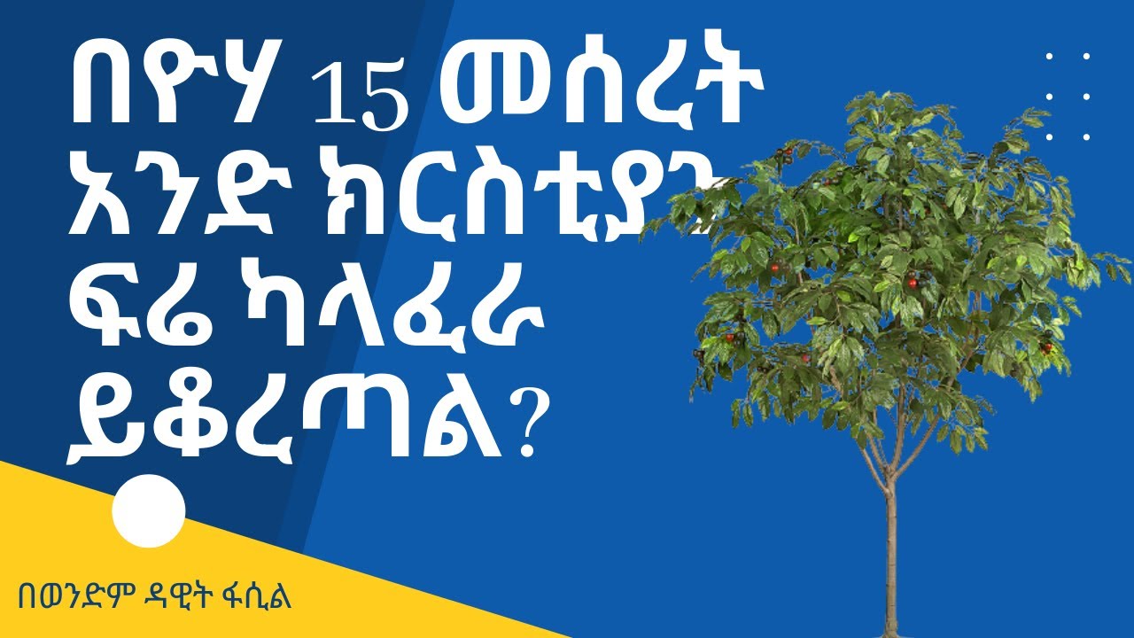 በዮሓንስ 15 መሰረት አንድ ክርስቲያን ፍሬ ካላፈራ ይቆረጣል?