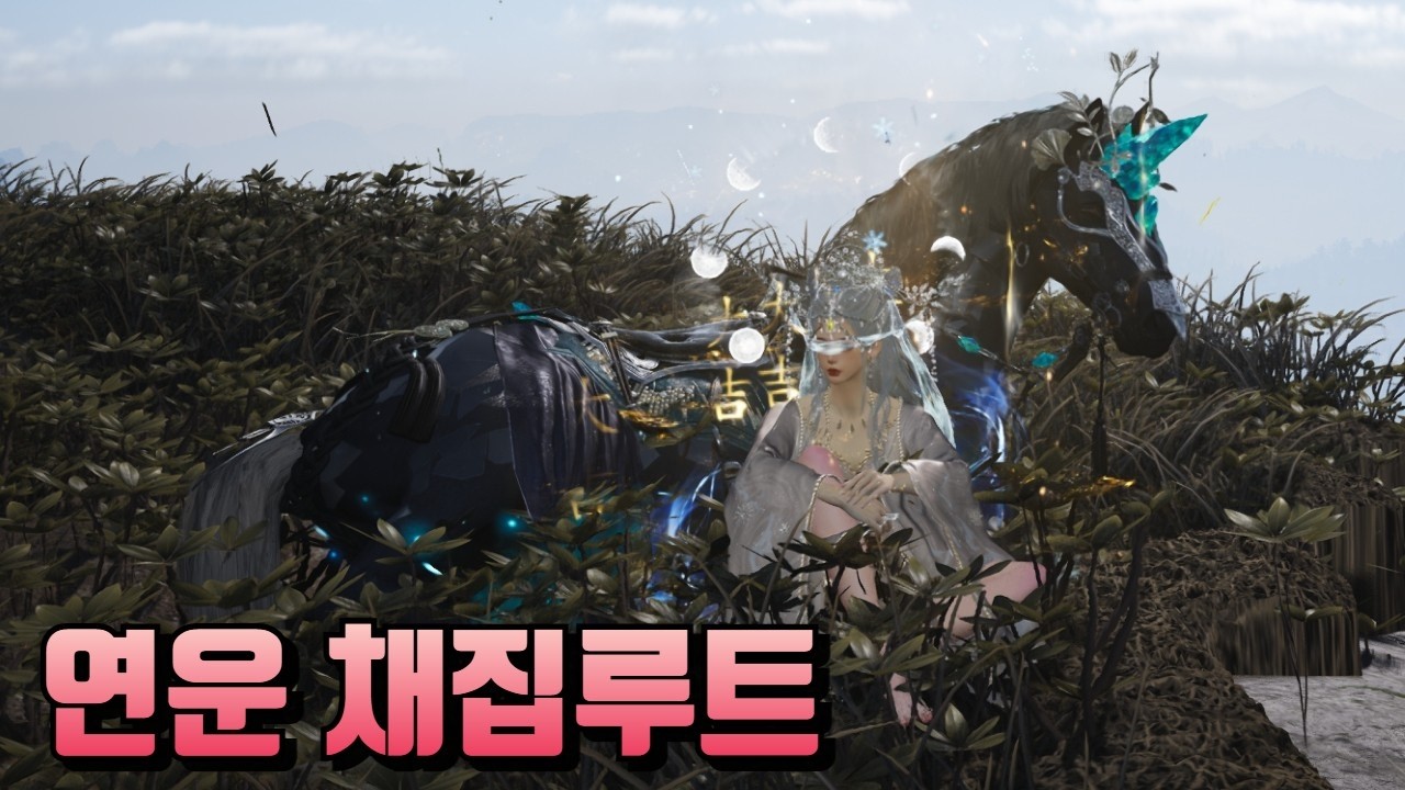 연운 삽로자와 함께하는 10분 최소화 채집루트