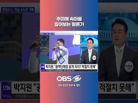 <strong>추미애</strong> 속마음 짚어보는 평론가 #더불어민주당 #전당대회 #<strong>추미애</strong> #최고위원 #정청래