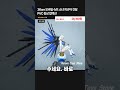 36cm 모바일 슈트 소녀 피규어 건담 PVC 동상 컬렉션