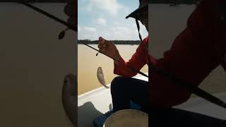 Pesta Patukan Gelama Di Tumpat Kelantan