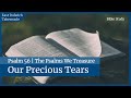 Psalm 56 | Our Precious Tears