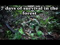 7 days of survival & adventure in the tropical jungle of Southeast Asia part 2