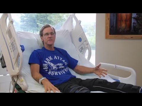 First interview with the shark attack survivor