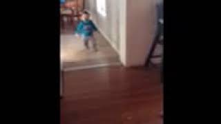 Fetch Brother!