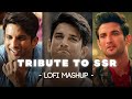 Tribute to ssr lofi mashup phir kabhi x qaafirana x jaan nisaar  textaudio lyrics