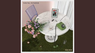 Video thumbnail of "Young Tender - Playa"