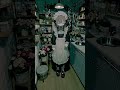 「えーっと、状況、わからないですか？私、死神なんです。えぇ。貴方、寿命です。何か言い残すことはないですか？」 #animation