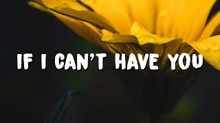 Shawn Mendes - If I Can't Have You (Lyrics)