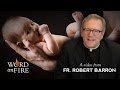 Bishop Barron on Being Born Again