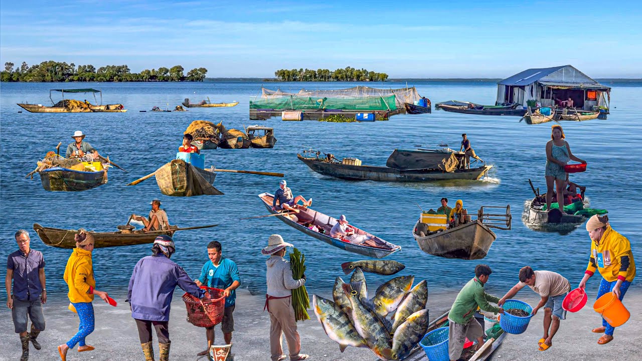 Đồi Cá Hồ Trị An Mùa Nước Dâng | Hồ Nước Ngọt Rộng Lớn Không Khác Gì Biển