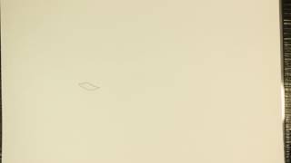 Yazon Lin Falling Paper