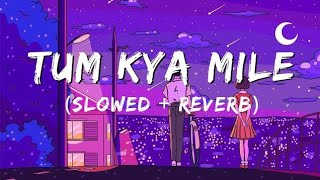 Video thumbnail of "TUM KYA MILE (SLOWED + REVERB) | ARIJIT SINGH | ROCKY AUR RANI KI PREM KAHANI |"